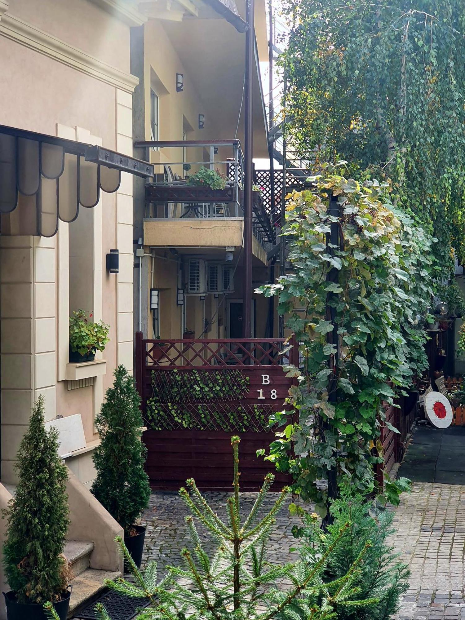 Vila Sia 布加勒斯特 外观 照片